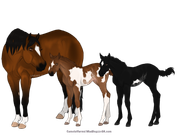 F3BE4380-9B16-4015-A5B7-F97C87D7218A