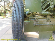 DSCN6743