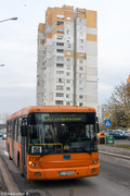 IMG-1165