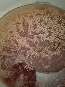 IMG 20251227 154401349 HDR