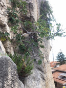 10C04112-C767-4928-B7D6-2F5CDAD1E256