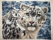 3-D348-EBC-F99-C-4-A08-BFF2-80-DC9959670