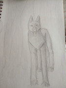 16264661542577846770767998930979