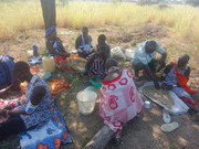 Harvesting-Grass-seeds