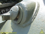 IMG-5525
