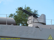 IMG-1504