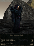 pancerze i ubrania (2)