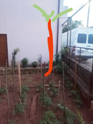 PhotoCollage_20200526_204117754