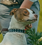 Screenshot_20230623_193645_Gallery