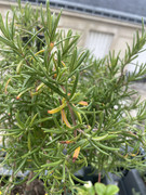 3BD0A844-4D48-4EA6-9E97-4C237551BE80