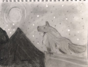 IMG_20240812_082825643