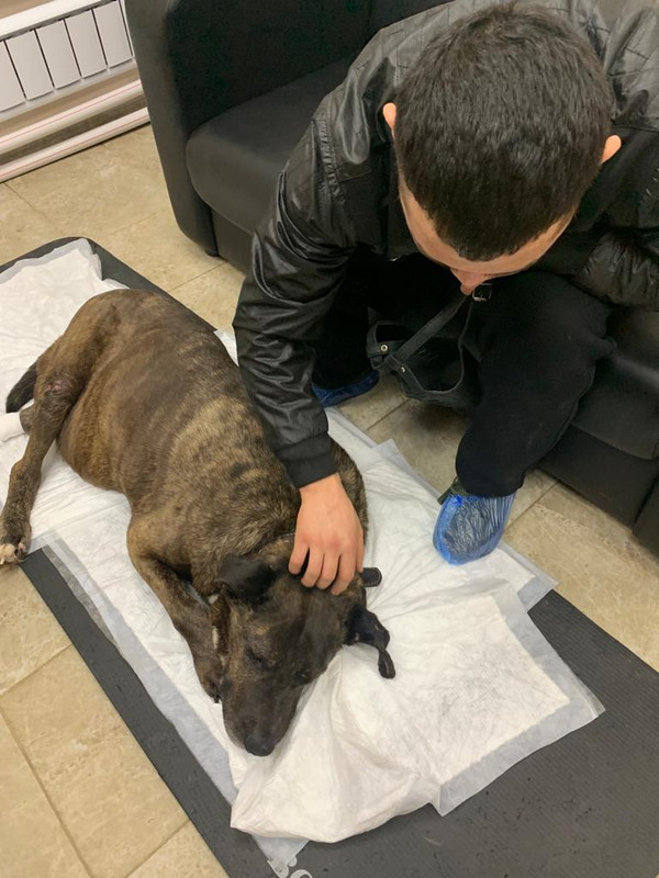 WhatsApp Image 2023-02-02 at 19.06.15 (1)