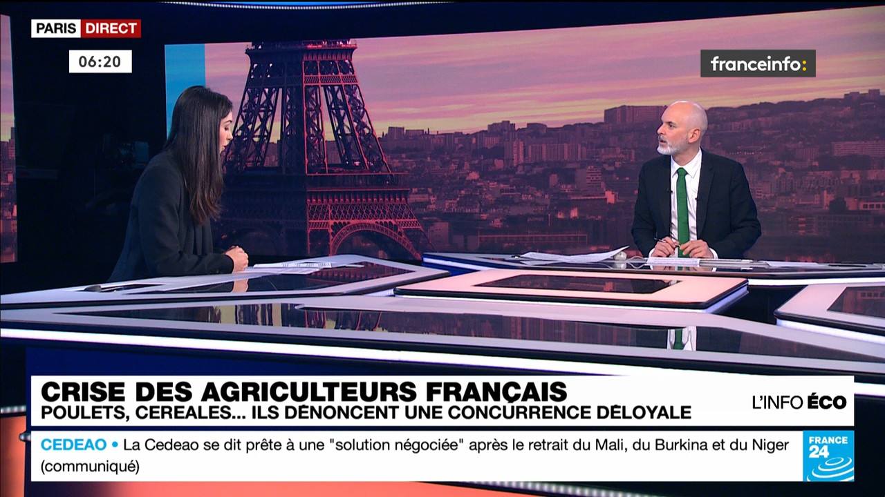 France 24 (Franceinfo)_2024_01_29_03_55_46.ts_snapshot_01.25.24.271