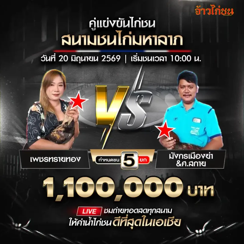 ก.กิตติยาฟาร์ม พบ ศ.สกาย&มังกรเมืองย่า โปรแกรมไก่ชน สนามชนไก่มหาลาภ 20 มิถุนายน