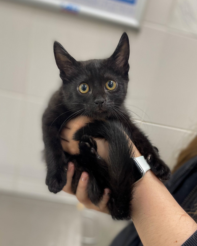 EF7755E9-26AC-4766-BE2D-D4BBE86B68D7