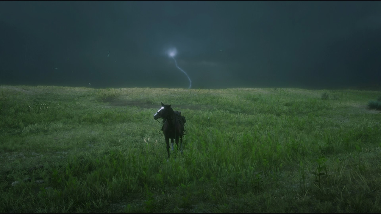 Red Dead Redemption 2_20181116170114