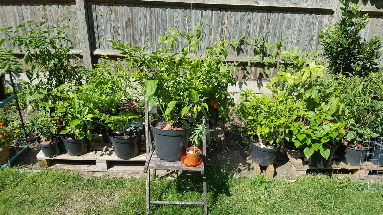 69588707-530452801122951-276184749098559