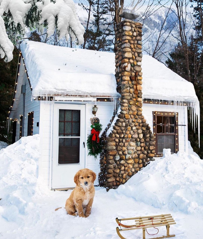 Screenshot_20231124_200132_Instagram