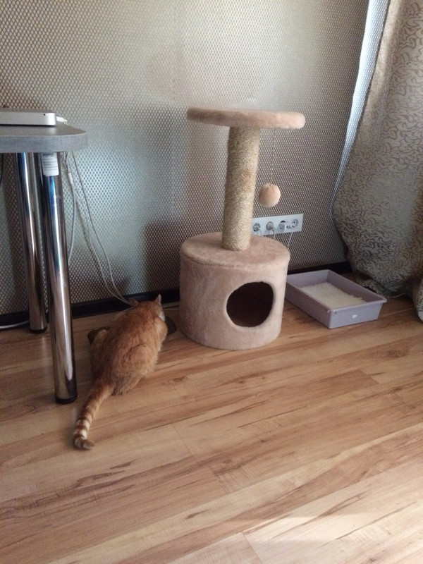 IMG-e285a5ef21bf4ef5f9455a990acddf9b-V