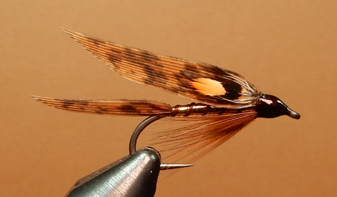 Fish-Hawk-1080.jpg