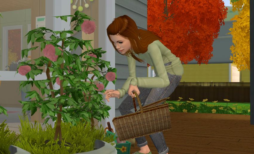 Sims2-EP9-2021-02-13-13-12-12-48