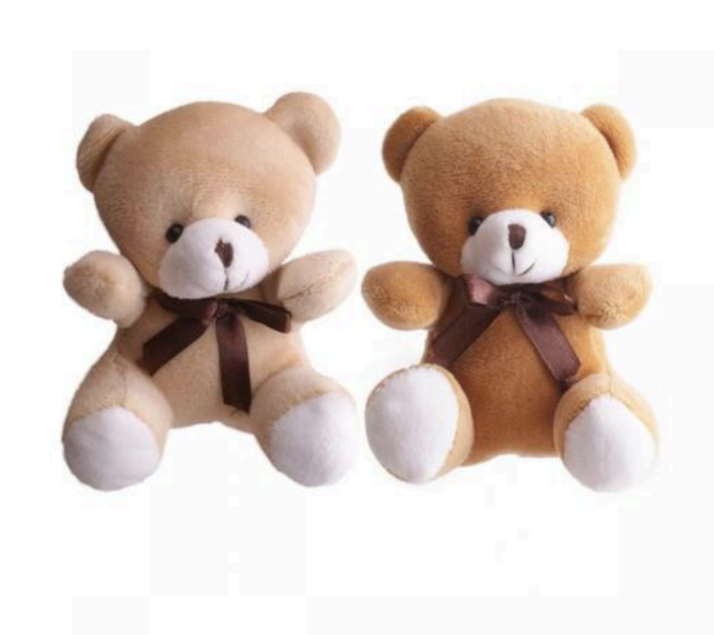 Osito Teddy Peluche