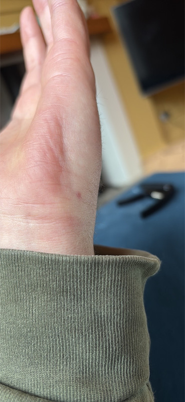 IMG DD9A9E4B E638 434F AD9C C7B2FF0097A2