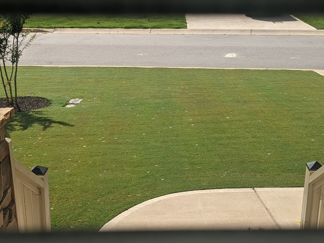 PXL_20210627_135119018