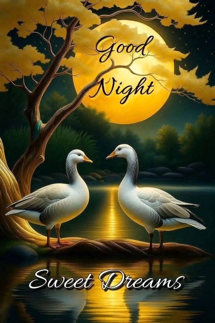 nighttttttt