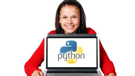 Object Oriented Programming in Python™ - Beginner to Beyond