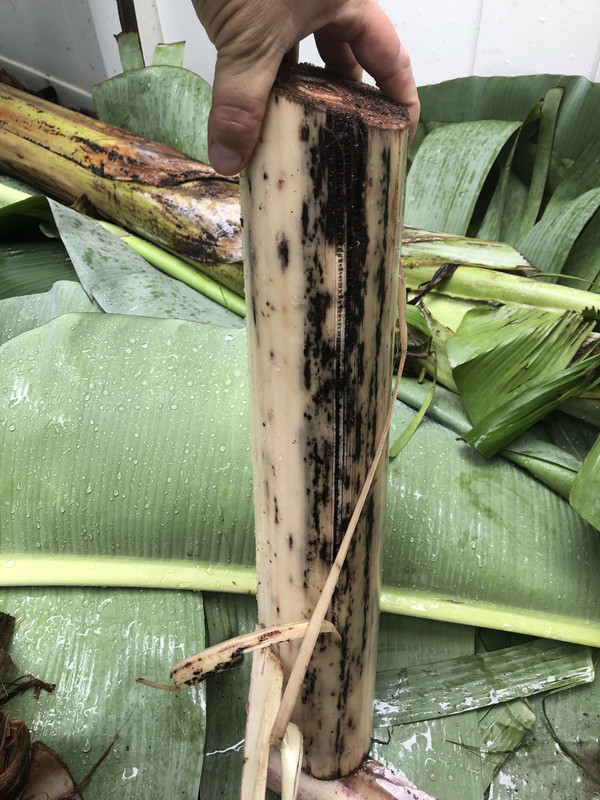 6865122A-500C-4EA0-9924-9A98C5E9435D