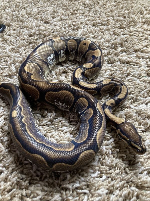 453E3395-B109-45AF-A35C-EE24E84884E2