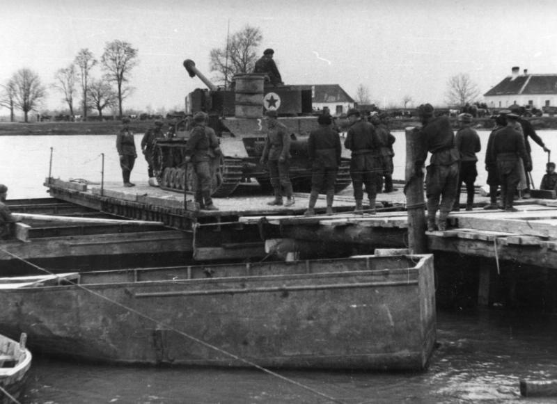 ste52b2e6fcd7746_1024 (1)