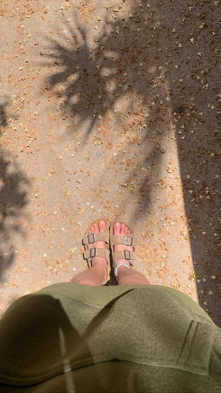 7B9FE30E-C610-4395-888F-D86486561987