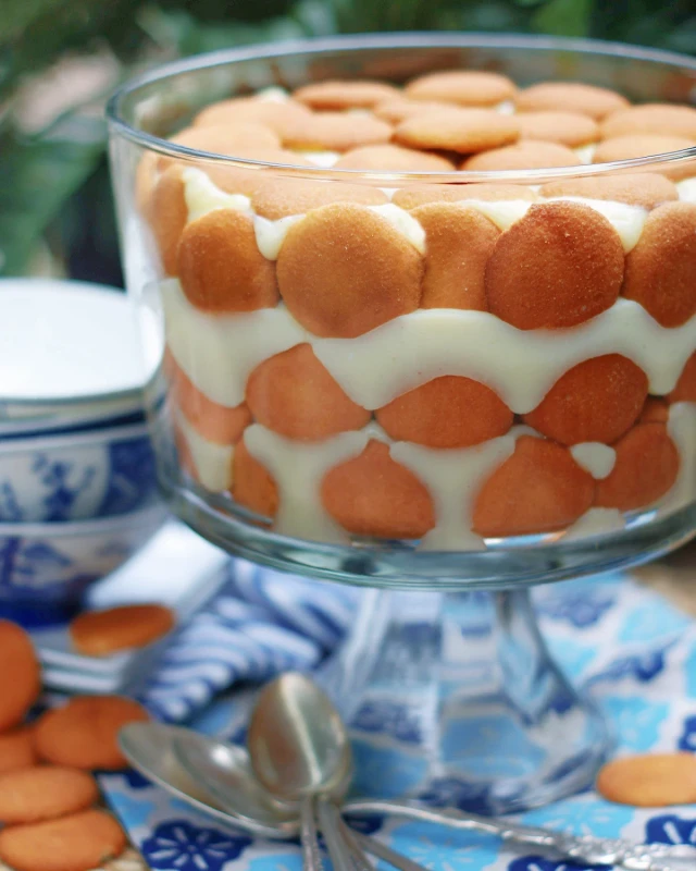 super yumy southerh banana pudding feature