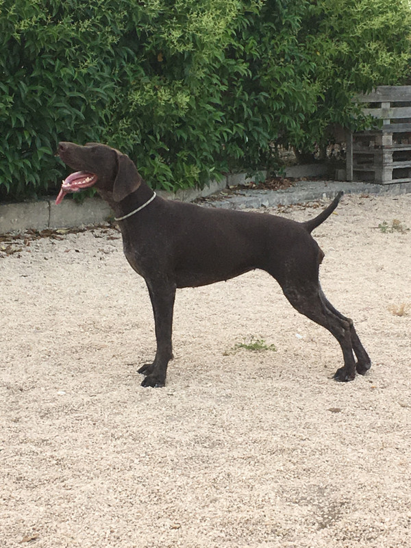 F9714F6F-77FE-4CDF-A284-8B4C3CACD283