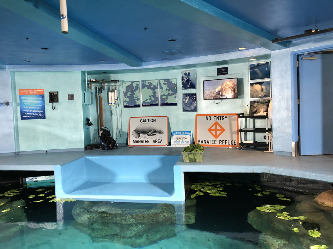 E33F34DD-B749-4F21-8C81-7D43147D5A2A