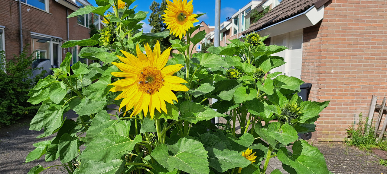 [Image: 20230807-102001.jpg]