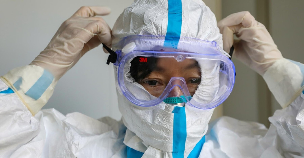 Nuevo virus en China tendría su origen en este pequeño animalito