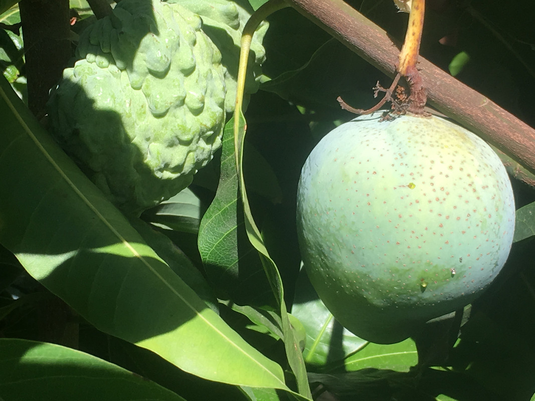 8F61E988-FD65-48F8-8050-9D3C4FA1B5DA