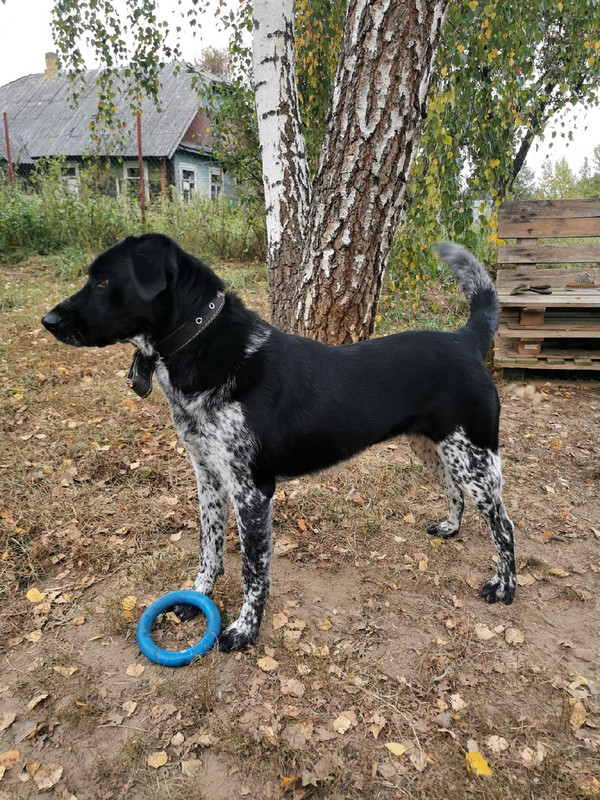 FYtnLn6gSHpLUXmpvSx9cFzkJLjpPR2e0L0EBmMFHxcpWjIZQNUTJBcd30CXSSH5efrpPNBNgtbgwKbwFpWTxzRl