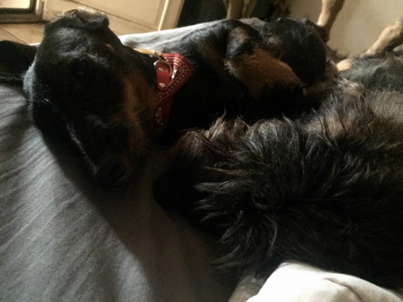 [Image: IMG-2765.jpg]