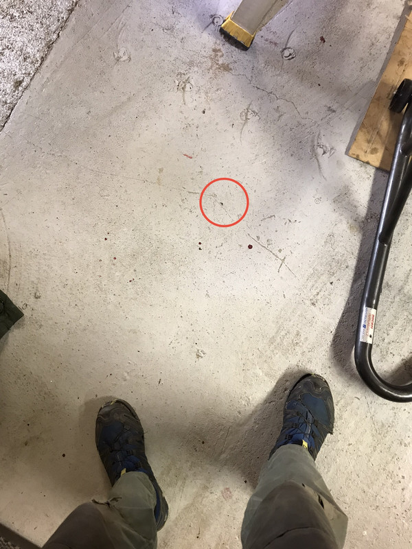 17C458BF-5E7D-4351-A586-6D8E71351160