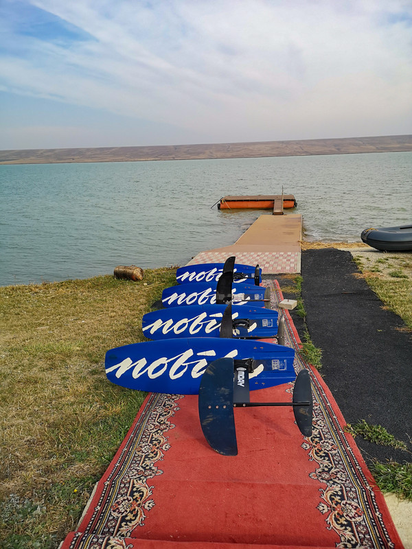 IMG_20201031_104807 (1) (1)