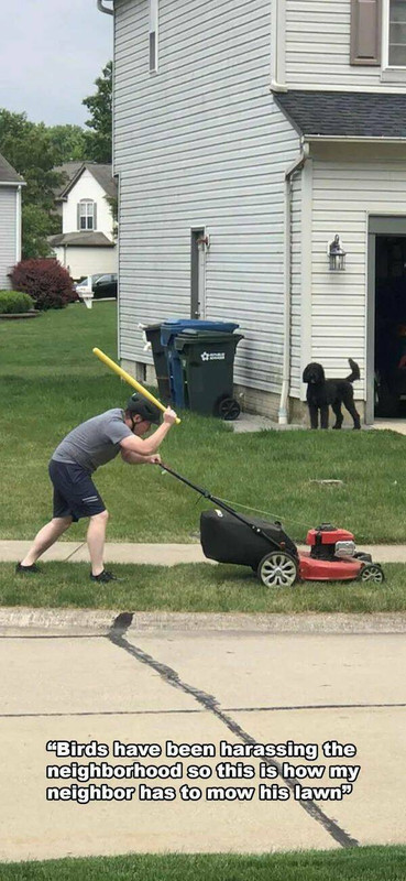 daily-picdump-44-15.jpg