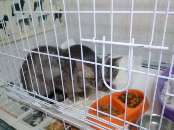 1A3D3C8D-8F00-4C9E-BB30-4131FBFA7266