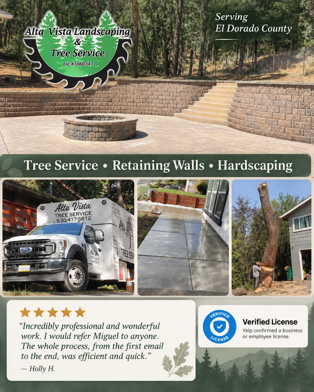 Alta Vista Tree Service Review