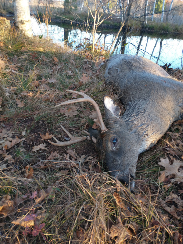 IMG_20211103_165850884