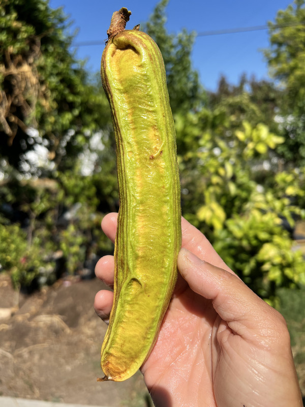 71903E6F-FD50-475D-A891-D45920D535FD