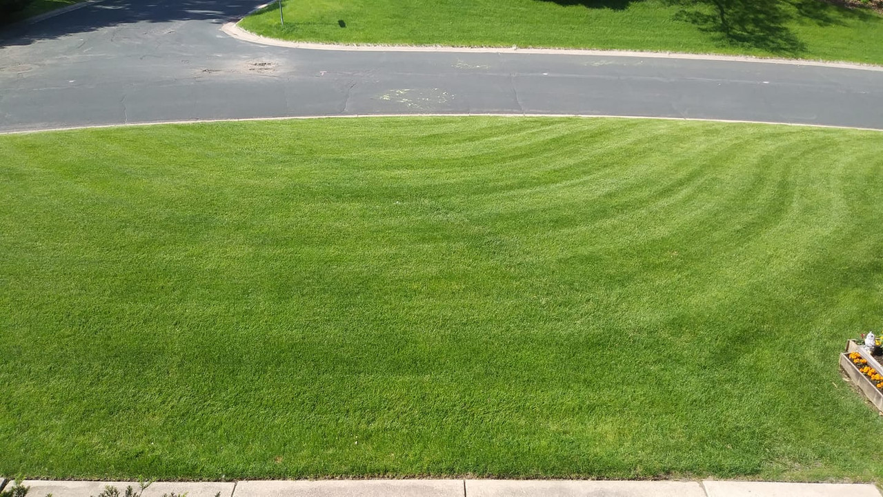 62151582_10220404921331710_4523845987239723008_o